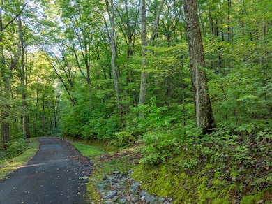 Lot 13 Wilderness Way, Ellijay, GA 30536 - photo 7