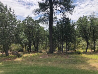 608 N Trailhead Dr unit 16, Payson, AZ 85541 - photo 5