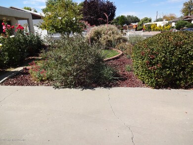 Front Yard From Driveway