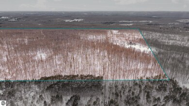 00 Stark Rd unit 17, Mancelona, MI 49659 - photo 5