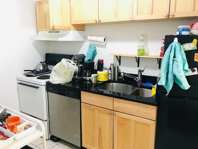 20 Radcliffe Rd unit 204, Allston, MA 02134 - photo 5