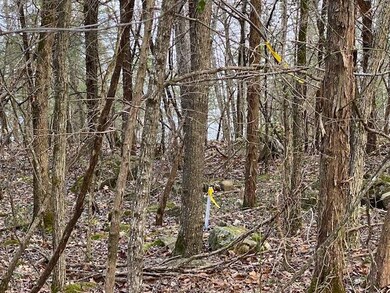 IMG_5280