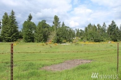 12542 118th Ln SE, Yelm, WA 98597 - photo 3