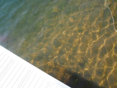 27689 Ettinger Rd, Webster, WI 54893 - photo 6