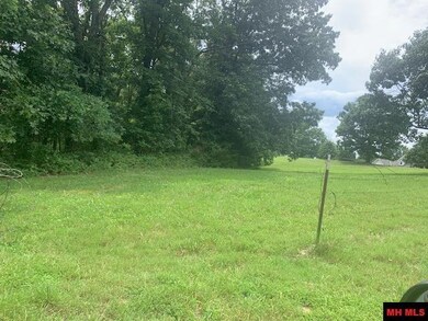 001-04806-002 Colonial Ln, Yellville, AR 72687 - photo 4