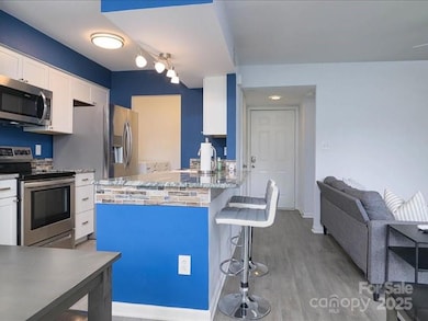 11034 Running Ridge Rd, Charlotte, NC 28226 - photo 4