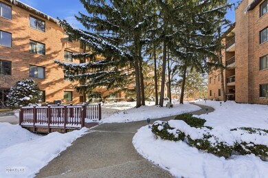 7502 Farmingdale Dr unit 206, Darien, IL 60561 - photo 2