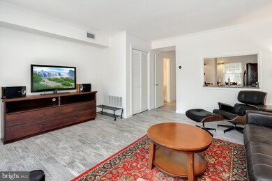 8386 Forrester Blvd unit 550, Springfield, VA 22152 - photo 6