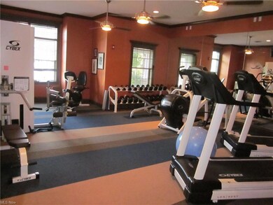 501 Aqua Marine Blvd, Avon Lake, OH 44012 - photo 4