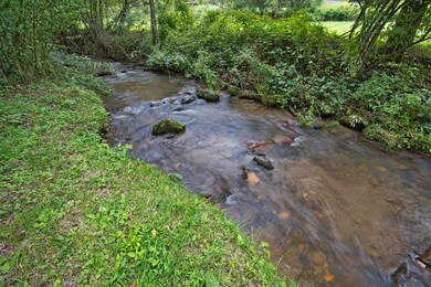 Over 200 Feet on Fast Flowing Ellijay Creek!