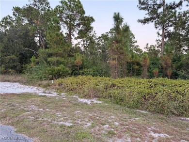 2002 Fitch Ave, Alva, FL 33920 - photo 3