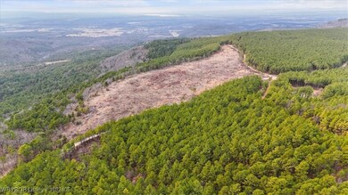 15 ac Round Mountain Rd, Heavener, OK 74937 - photo 3