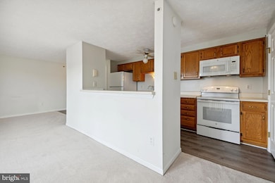 303 Palmspring Dr unit 10, Gaithersburg, MD 20878 - photo 7