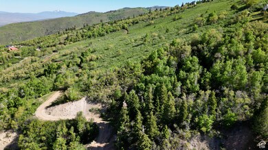 Aerial view of property's location featuring a mountainous background
