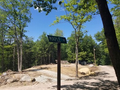 3 Maple Rd, Middleton, NH 03887 - photo 2