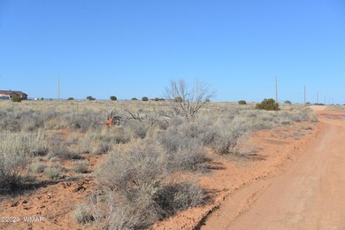 Snowflake Heights 003