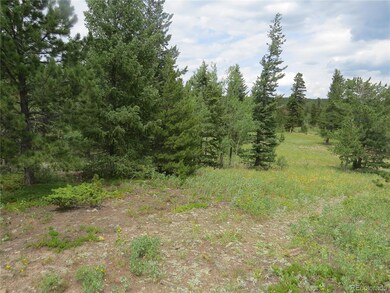 0 Peak To Peak Hwy unit REC2002177, Nederland, CO 80466 - photo 6