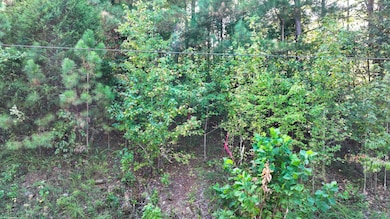 1 Deep Cut Rd, Erin, TN 37061 - photo 4