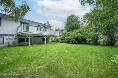 back yard 2