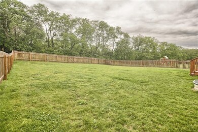 Large, flat backyard