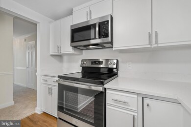 The Elizabeth, Chevy Chase, MD 20815 - photo 7