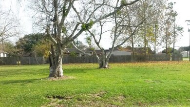 3319 Nolan St, Bay City, TX 77414 - photo 3