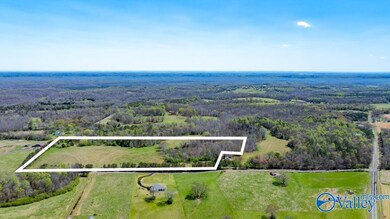 7204 Jernigan Hollow Rd, Athens, AL 35614 - photo 4