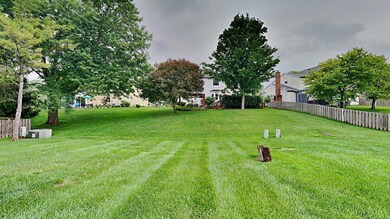 15_Image_gcP1t9FPpT