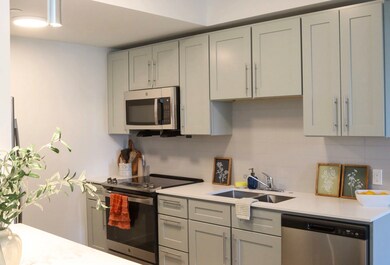 20 Stephenson Aman St, Somerville, MA 02144 - photo 6