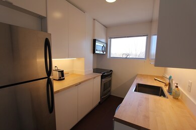 29 Concord Ave unit 715, Cambridge, MA 02138 - photo 7