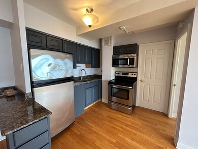 4180 N Marine Dr unit 1207, Chicago, IL 60613 - photo 2