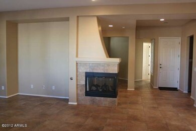 Entry/Family Room Fireplace