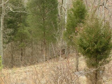 2 Bolton Hollow Rd, Somerset, KY 42501 - photo 4