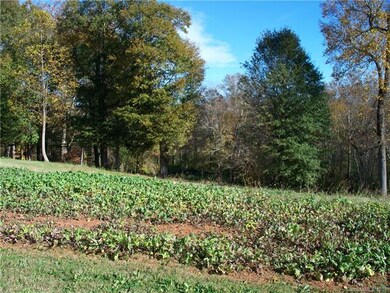 0 Clear Creek Cir unit 9 3450689, Lincolnton, NC 28092 - photo 5