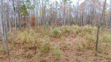 Lot 41 Oneal Rd, Champlain, VA 22438 - photo 2