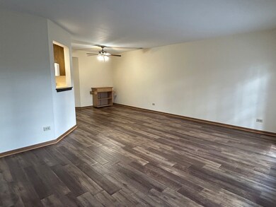 692 Quincy Bridge Ln unit 302, Glenview, IL 60025 - photo 5