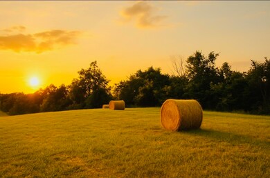 1005 Bypass Hwy N, Lawrenceburg, KY 40342 - photo 6