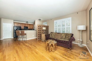 1022 Neudearborn Ln unit 19-1022, Naperville, IL 60563 - photo 5