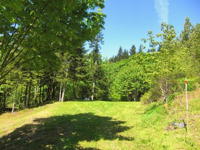 0 Reese Hill Rd unit 637157, Sumas, WA 98295 - photo 4