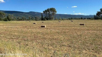 1313 Whitetail Dr, Driggs, ID 83422 - photo 3