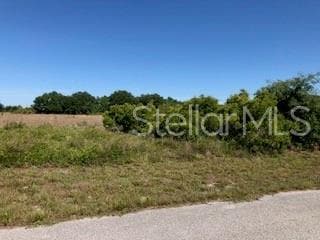 1712 Jackson Ave, Lehigh Acres, FL 33972 - photo 6