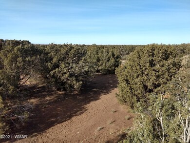 IMG_20210114_150013235_HDR