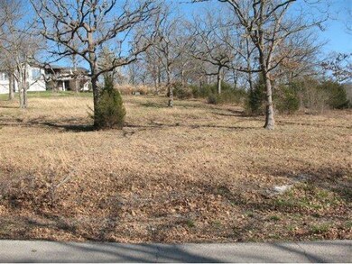 44 Irish Hills Blvd, Kimberling City, MO 65686 - photo 3