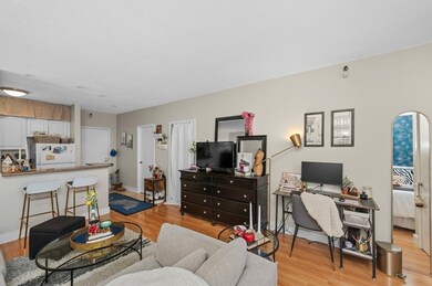 Parris Landing unit 3106, Boston, MA 02129 - photo 5