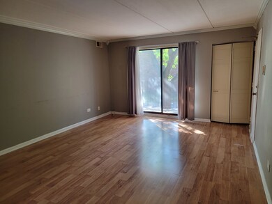 5406 Chateau unit 4, Rolling Meadows, IL 60008 - photo 5