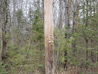 lot 7-B Johnson Flat Rd, Pittsfield, ME 04930 - photo 3