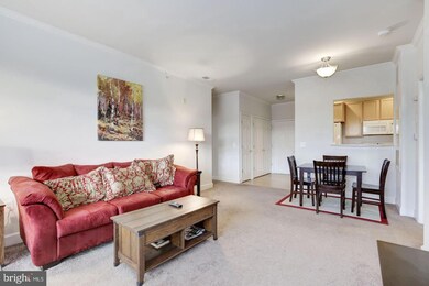 11924 Darnestown Rd, Gaithersburg, MD 20878 - photo 7