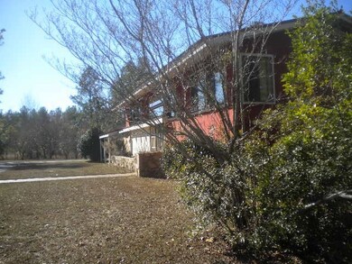 977 Jaybird Springs Rd, Chauncey, GA 31011 - photo 4