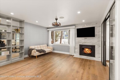 790 W Hallam St unit 2, Aspen, CO 81611 - photo 7