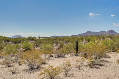 N Crooked Trail_4